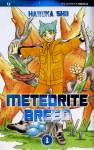 meteorite-breed.jpg
