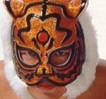 tigermask2logo.jpg